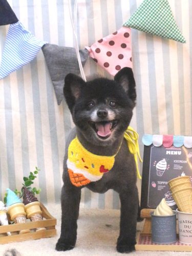 202580525チョビくん